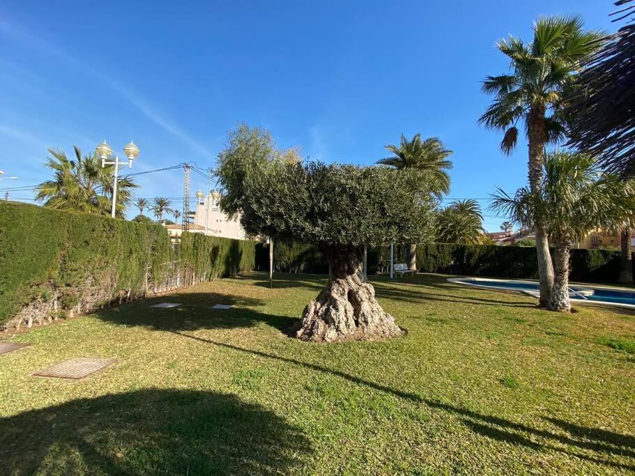 Denia,piscina,padel,150 M De La Playa Apartment *